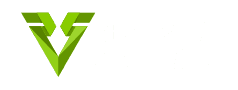 Realistic Security Logo